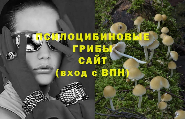 спиды Нягань