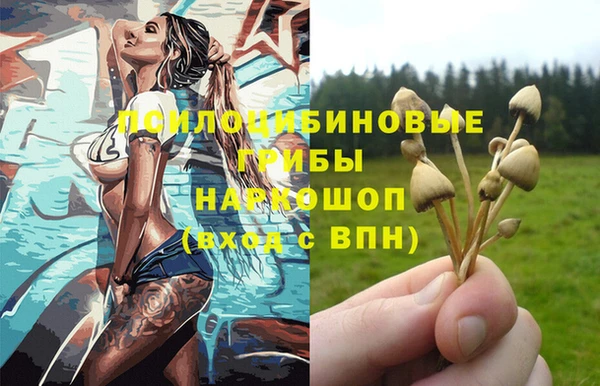 спиды Нягань