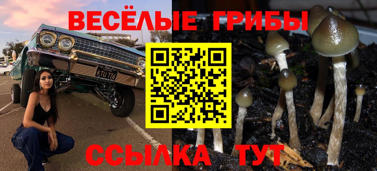 Псилоцибиновые грибы MAGIC MUSHROOMS  Ногинск  Псилоцибиновые грибы MAGIC MUSHROOMS 