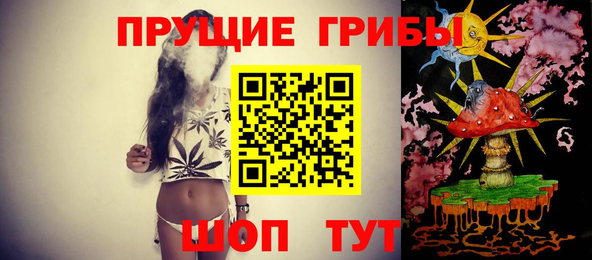 Ногинск  Галлюциногенные грибы Psilocybine cubensis  Вход с VPN 