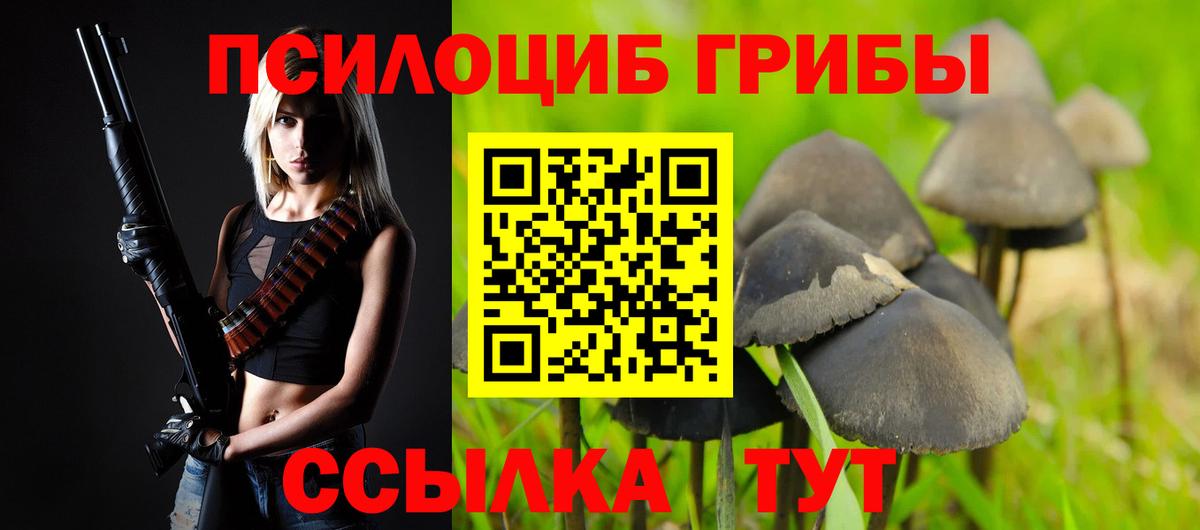 Псилоцибиновые грибы Magic Shrooms Ногинск